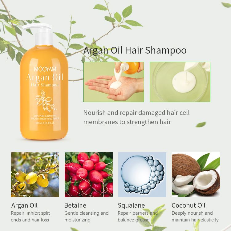 argan oil hair strengthening shampoo